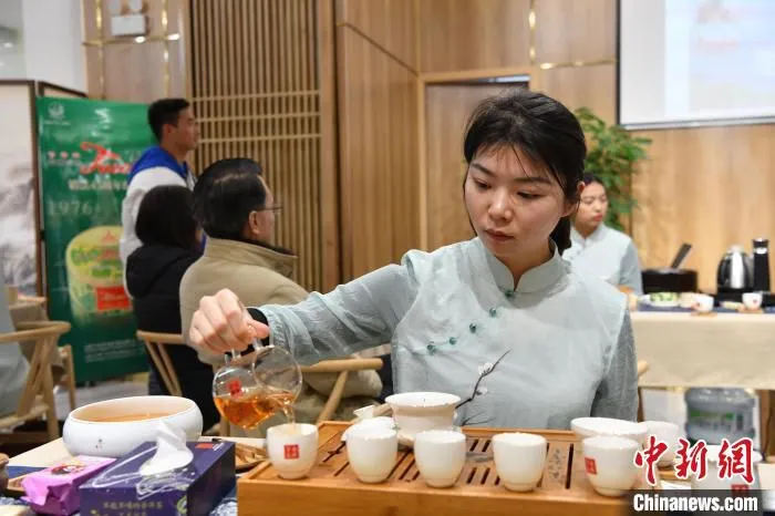 图为云南沱茶销法45周年纪念版分享茶会现场。　刘冉阳　摄