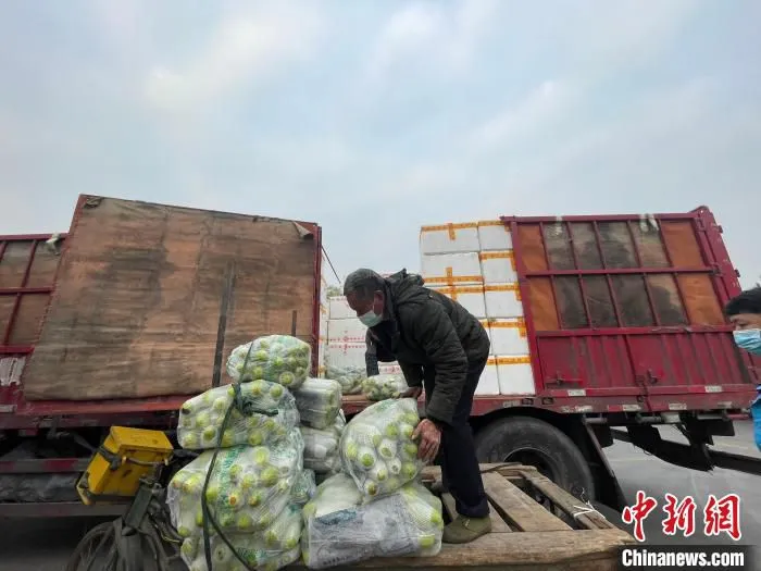 工作人员正在将组织的蔬菜装车。　成都益民集团供图