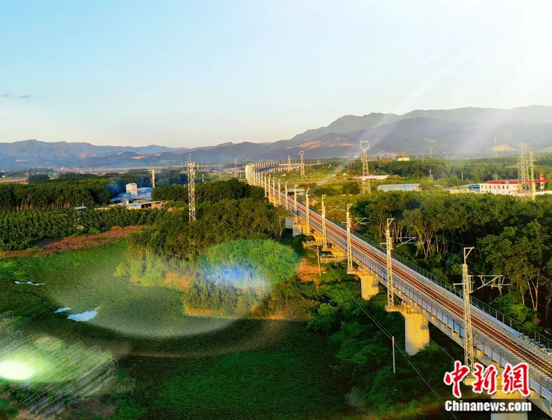 图为中老铁路橄榄坝特大桥全长3.5公里，共有墩台108个。吴杰 摄