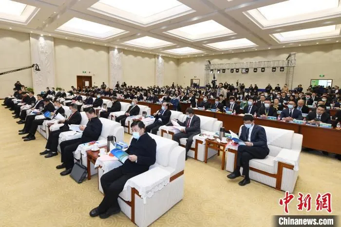 图为发布会现场。　丁凯 摄