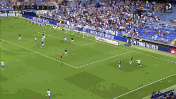 GIF 2.29M
