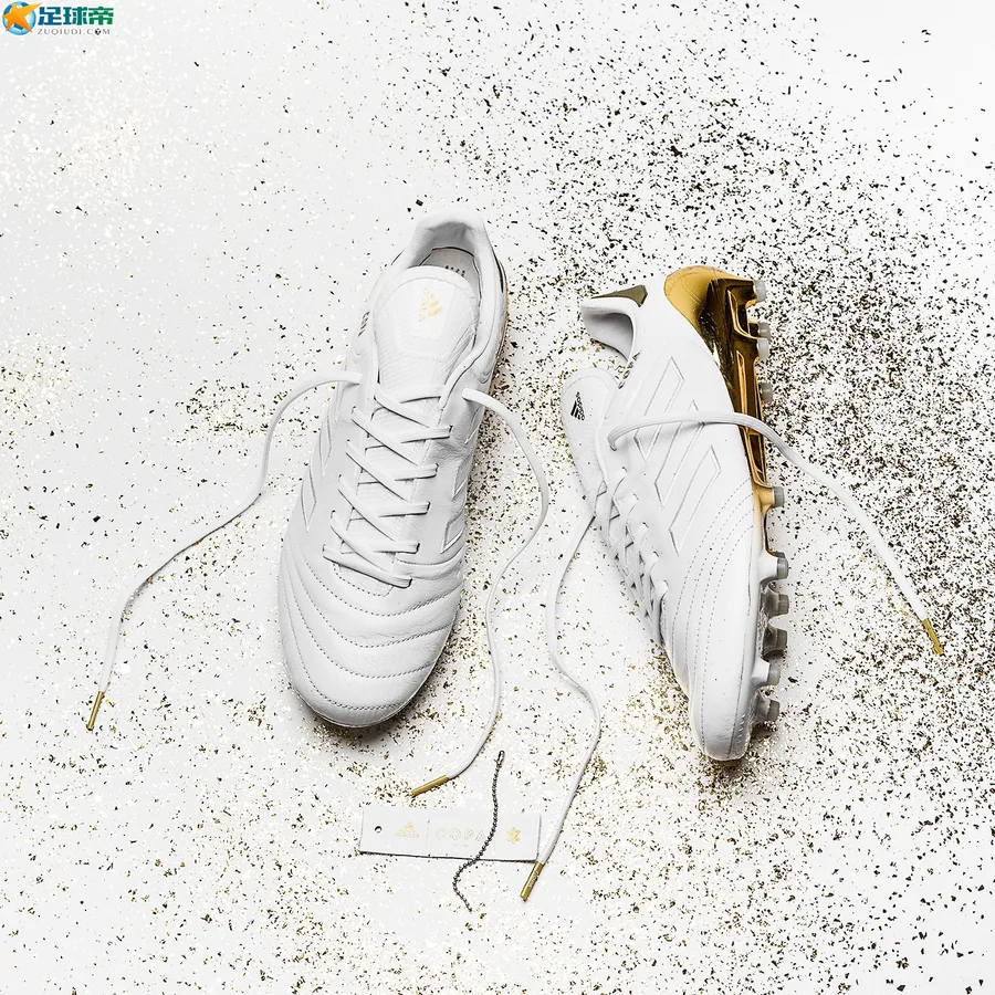 聚焦丨限量珍藏版王者荣耀配色Copa 17