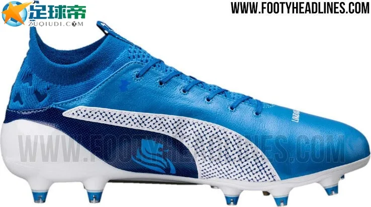 继续德比热 法布雷加斯专属Puma evoTOUCH
