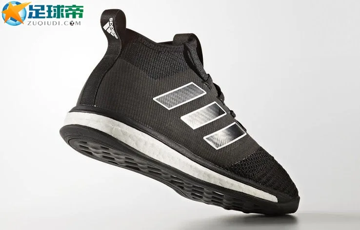 棋盘黑系列 Ace Tango 17.1 Trainer