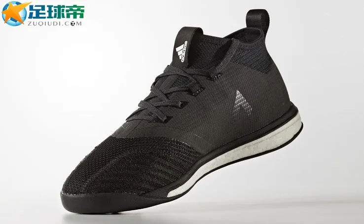 棋盘黑系列 Ace Tango 17.1 Trainer