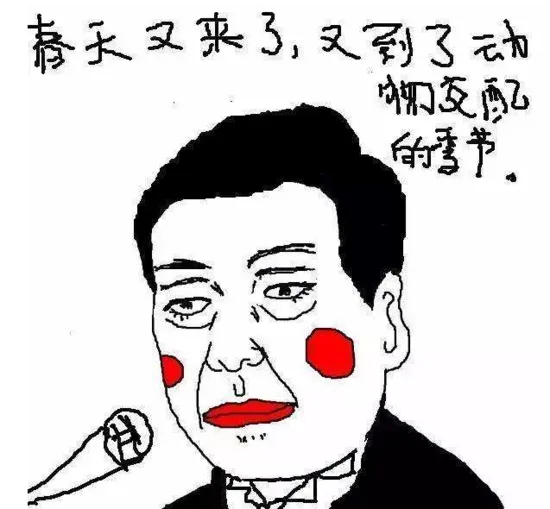 新鲜出炉季后赛分析