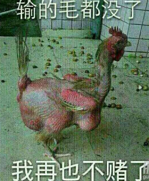 辉哥说彩:计算概率中奖 百万真相让人很无语