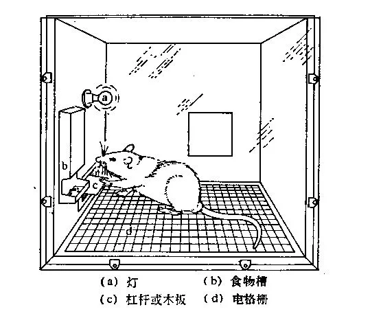 各省群众好赌程度排行榜 深度剖析历史成因