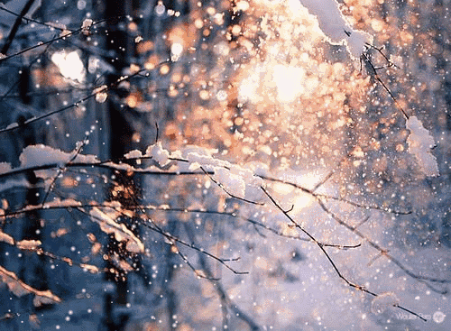说明: http://mmbiz.qpic.cn/mmbiz_gif/9ibtoorq2RMVDwuJaeEXpX6sOEteBW1ibiaeldGr2DBNmNlR0joQj7IAF5tqSn6ibpY026BlUe2loBHTKmeRcD9KzA/0?wx_fmt=gif&amp;tp=webp&amp;wxfrom=5&amp;wx_lazy=1