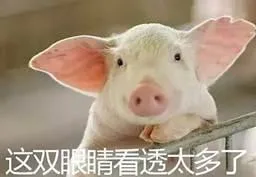 彩友一球失3000万 双色球1000万又要开出?