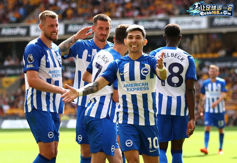 Brighton Hove Albion 足球赛事分析