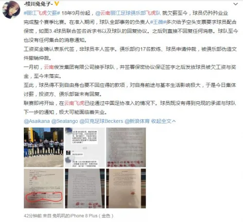 二:《薪资确认表》均为代签,省足协领导担保说媒