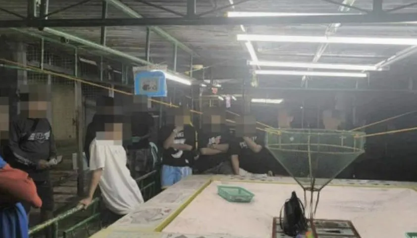 Bragança province late-night raid arrests 11 suspects for illegal gambling, police release details of the operation.