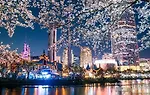 韩国立法者再推修法，拟禁“扭蛋机制”并强化游戏掉率透明度