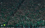 重赏！沙特成功晋级2026世界杯 每位球员获114万欧奖金