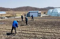 吉林“无疫村”里春耕忙