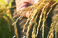 GDP同比增长4.8% 一季度多项重磅数据公布!