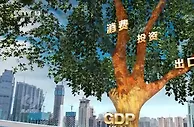 焦点访谈丨2022中国经济：迎难而上稳开局