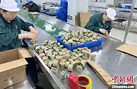 探访《本草纲目》故里蕲春：小艾草撑起大产业