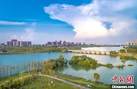武汉东西湖区勇担使命  奋力推进“中国网谷”建设