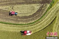 产粮大县湖南东安实现“机械换人” 早稻收割按下“加速键”
