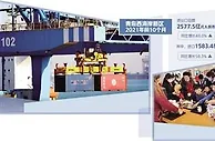 青岛西海岸新区实现跨越式增长 建好进口贸易创新示范区