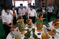 256个品种哈密瓜亮相第十六届新疆哈密瓜节开幕式