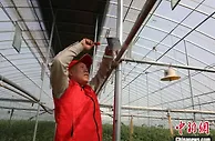 科技催生“新农民”：河北平乡涌现“土专家”“田秀才”