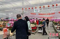 广州花市开启云端待客模式 花农多方受益