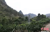 无人机施肥 手机“云端种地”为贵州春耕“添智”