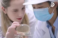 探索中国奶粉新高度 Discovery探索频道走进君乐宝