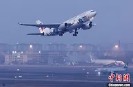上海第46届世界技能大赛主题彩绘飞机 中国东航“技能梦想号”正式亮相