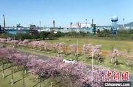粤北老工业基地韶关“蝶变”赋能传统产业变革转型