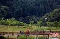四川利州：因地制宜做深农旅融合 走出乡村振兴新路径