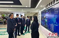 国铁“搭桥”宁夏农优特产乘“火车头”闯世界