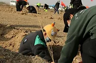 甘肃敦煌推“互联网+义务植树”：为戈壁荒漠“披绿”注新力量