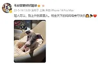 韦世豪：骂人可以，别上升家里人。祝全天下的妈妈母亲节快乐????