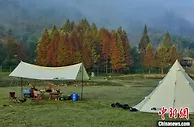 长三角露营装备商将齐聚浙江湖州 展示精致露营装备美学