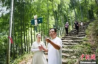 浙江安吉试水“竹林碳汇”：开辟“双碳”共富新路径