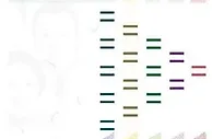 玩球网报：新版菲律宾纸币来咯！别误以为手中的是假币！