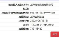 密春雷及览海控股被强制执行超7亿元