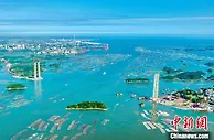 广西最长跨海大桥龙门大桥主塔顺利封顶 进入缆索系统施工阶段