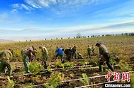 综述：内蒙古大兴安岭停伐7年：绿意更浓了，钱袋子更鼓了！