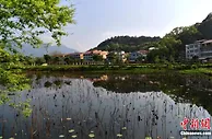 春潮激荡新福建：沙县小吃“出山”又“出海”