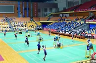 辽宁锦州首届“张宁杯”羽毛球赛开赛 李永波张宁出席开幕式