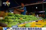 商务部：积极开展防汛保供工作 确保市场供应