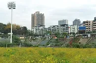 时过境迁，昔日重庆队主场已成“草场”&球场改造事宜未有进展