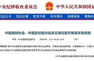 热议赛艇协会主席刘爱杰被查：不止足球，但有着千丝万缕的联系