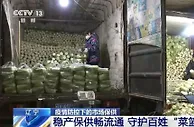 辽宁各地稳产保供畅流通 全力守护百姓“菜篮子”