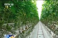 “一块屏”背后生产方式之变 探究农业智能化发展趋势